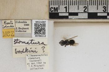 Media type: image;   Entomology 786112 Aspect: Labels
